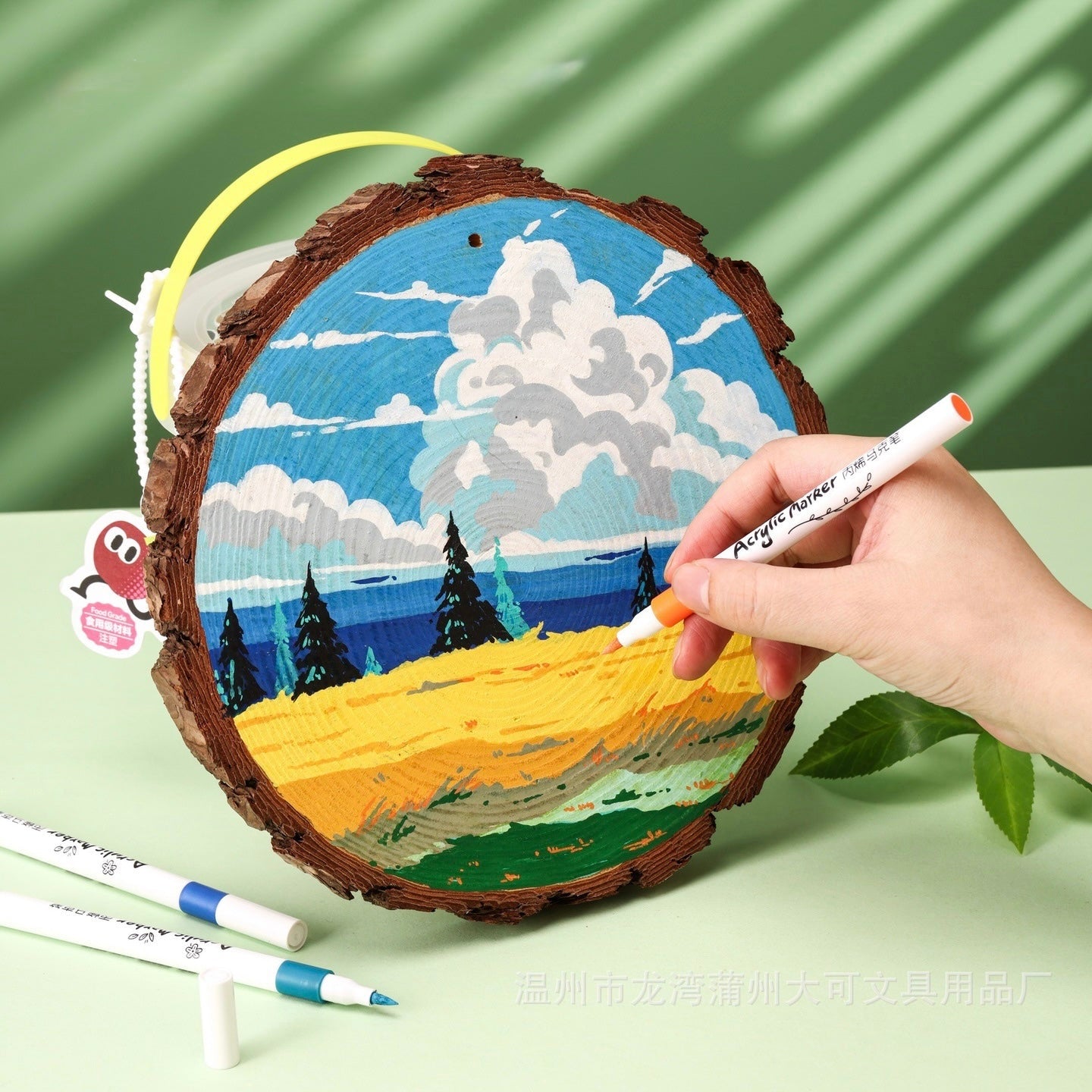 Acrylic Markers Brush Tip | Markers For Artists And Beginners