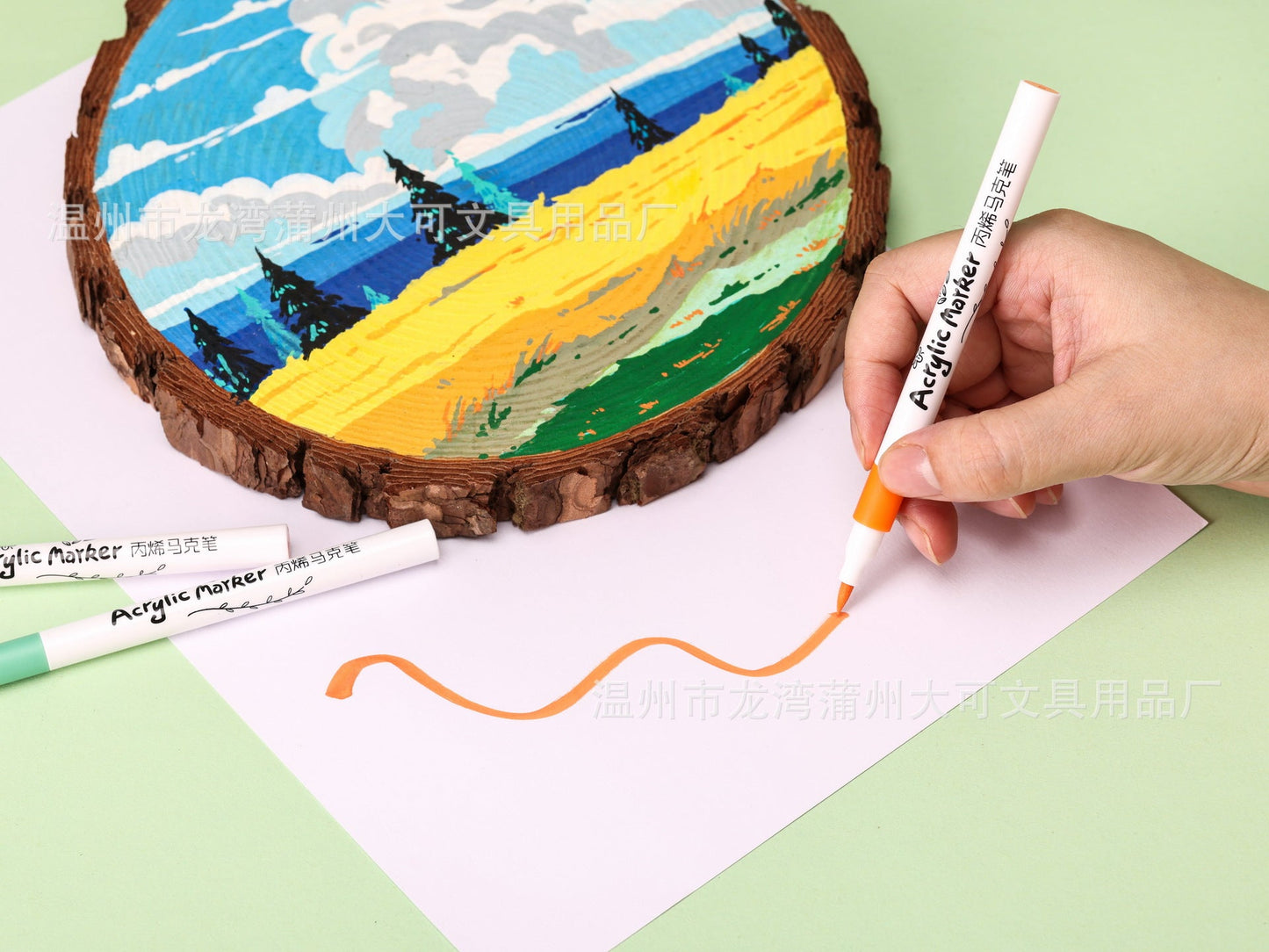 Acrylic Markers Brush Tip | Markers For Artists And Beginners